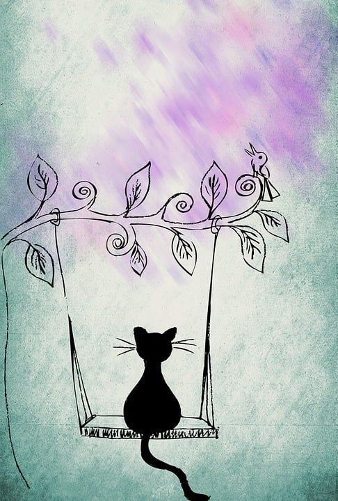 猫 宿醉 家猫 动物 小猫 野生动物 可爱的 野猫 摇摆
