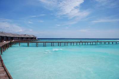 大海 马尔代夫 美景 海滩 白沙 木墩