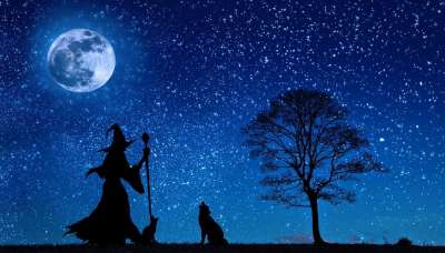 巫婆 幻想 周六 万圣节 狼 月亮 树 剪影 嗥 狼嚎