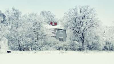 芬兰 雪 冬天 森林 自然 天空 白色的 景观 寒冷的 场景