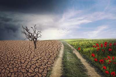 Pxclimateaction 气候 景观 风暴 场地 这么干