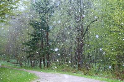 大自然壁纸 自然壁纸 高清壁纸 雨 天气 糟糕 背景 雪 冬季