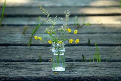 野花 花束 性质 草本植物 精美的 春天 组成 植被