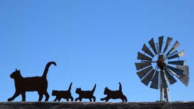 猫 黑色的 轮廓 风车 比尔顿 家庭