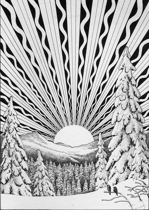 冬至 冬天 十二月 雪 景观 太阳 日出 黑和白 画画