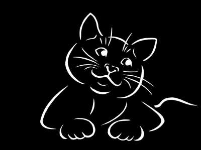 动物 猫 轮廓 黑和白 甜的