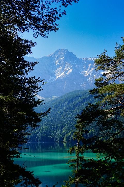 艾布西 湖 山 巴伐利亚 楚格峰 阿尔卑斯山 自然 森林 景观