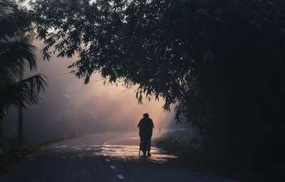 步行 早晨 乡村的 自然 阴影 景观 森林 多雾路段 清晨的薄雾