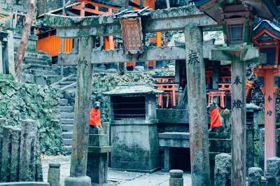 日本 寺庙 传统 日本人 宗教的 结构 佛教徒 京都 传统的