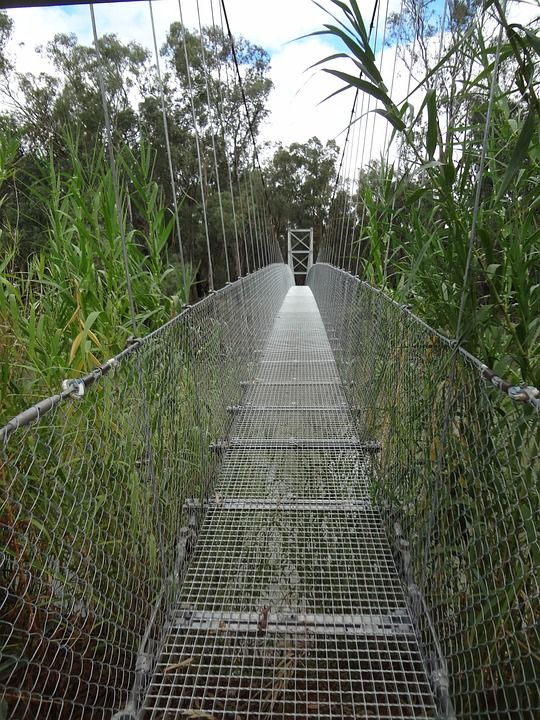 桥 暂停 结构 行人天桥 行人路 穿越 建造 网 竹子