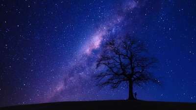 树 夜晚 星星 星系 男人 沃克 景观 轮廓 自然 全景