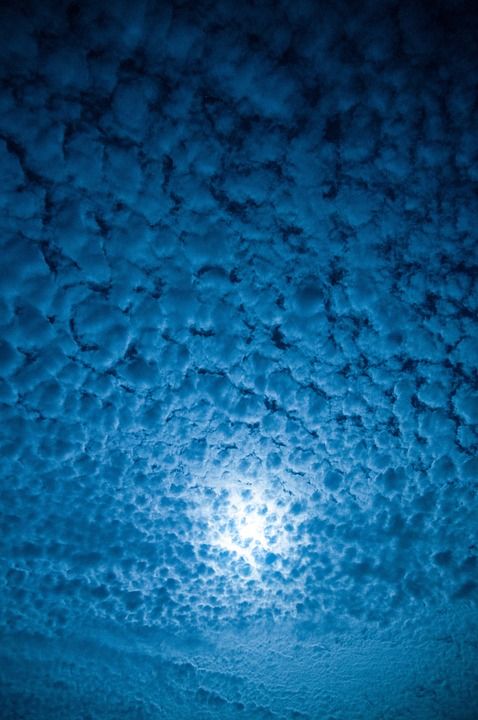 马鲛鱼的天空 月夜 云 夜 月亮 蓝色 夜景 多云 蓝色的天空