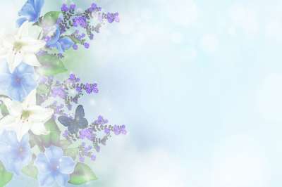 花 散景 安排 问候卡 开花 百合花 浪漫的 复制空间 欢迎