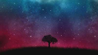 空间 星系 宇宙 树 背景 宇宙 宇宙 宇宙 宇宙 宇宙 树