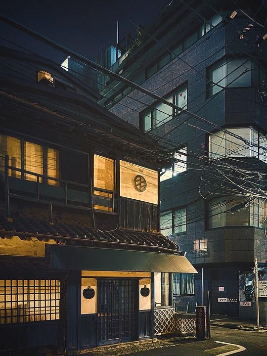 夜晚 东京 街道 日本 城市的 餐厅 日本建筑 晚上 夜晚