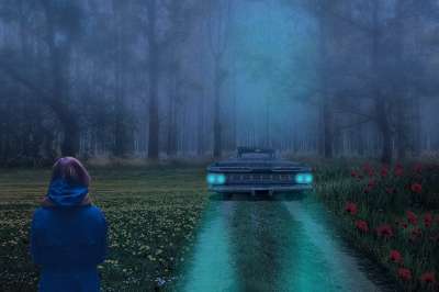 森林 夜 树木 景观 汽车 灯 女士 路径 雾 风景