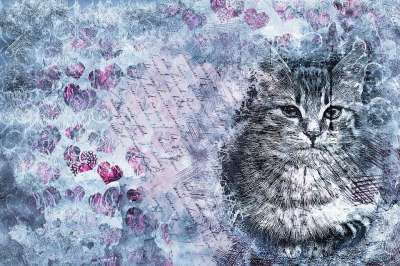 猫 动物 宠物 艺术 抽象 艺术的 水彩 优质的 蓝色的 心