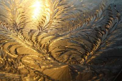 冰花 冬天 寒冷的 霜 冰晶 冰冷的 冬季魔法 玻璃板 结构体