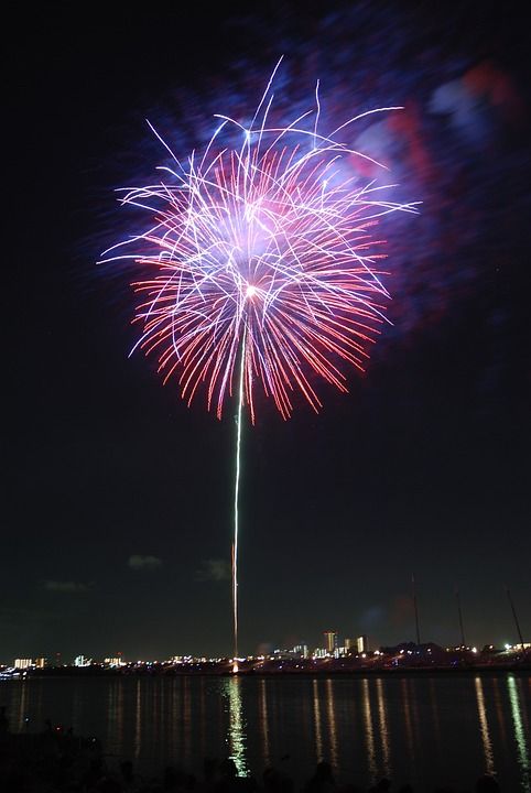 多彩多姿的 花朵 分形 紫色的 红色的 烟花 天空 夜晚 节日