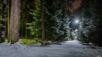 雪 路 树木 夜晚 灯 公园 长椅