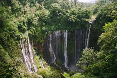 瀑布 Tumpaksewu 玛琅 印度尼西亚 爪哇 Eastjava
