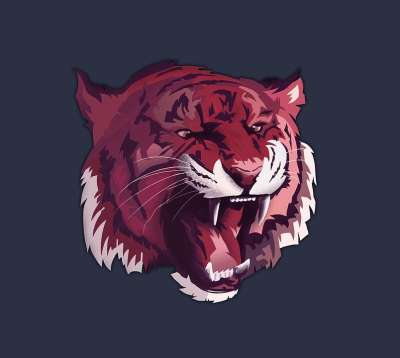 老虎 动物 猫 捕食者 肖像 哺乳动物 小猫 红色的老虎 皇家