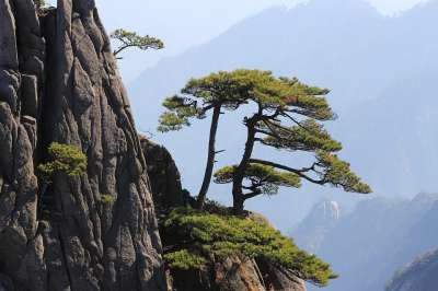 中国 黄山 山 景观 岩石 蓝色风景 蓝色山脉 蓝色的岩石 黄山