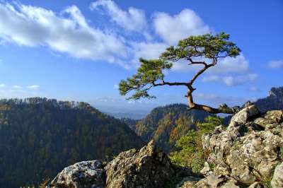 皮耶尼 松 山 线索 波兰 旅游 性质 鹘 冬奥会 小波兰