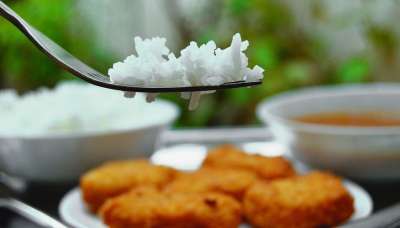 食品 水稻 食物 吃 板 平坦的 叉 美食 肉类 鸡 电源