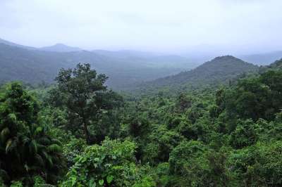 雨林 莫莱姆国家公园 西高止山脉 山 植被 云 果阿 印度 绿山