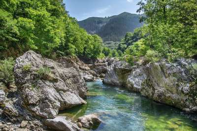 河 岩石 自然 森林 山 树木 溪 水 植被