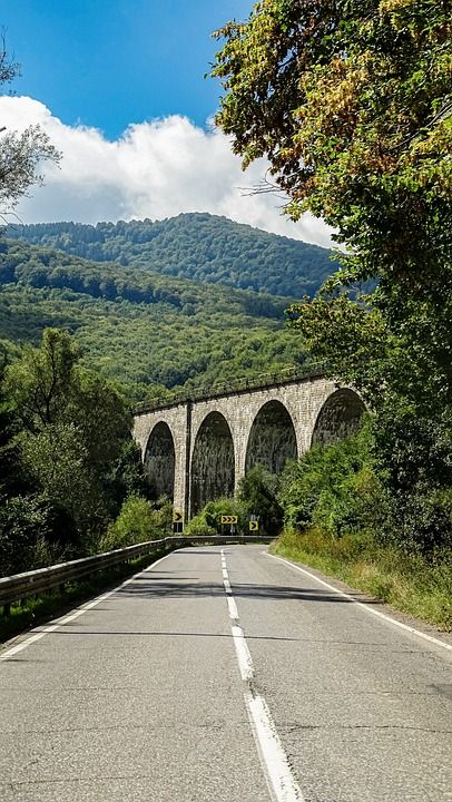 桥 建造 路 高速公路 结构体 山 树木 自然 天空 景观
