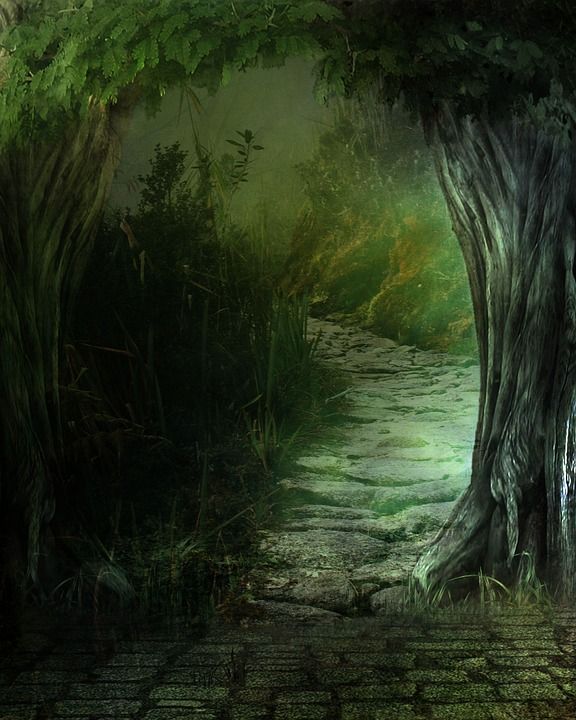 幻想 景观 林 秘密 看穿 超现实的 创造性地 绿色 艺术的