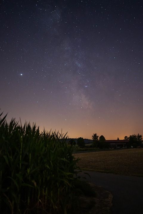 星星 星空 夜空 观星 星座 星系 行星 景观 领域 草