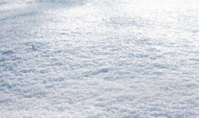 雪 冬天 寒冷的 景观 白色的
