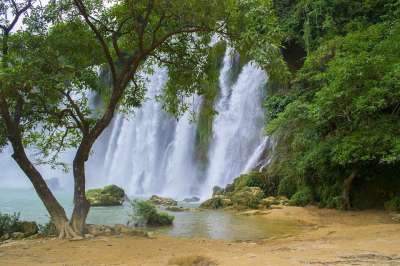 越南 瀑布 树 天堂 有天赋的人 风景 水 旅行 户外 森林