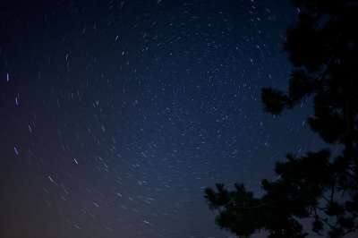 极星 天空 夜晚 星星 星座 星空 夜空 轮廓 树木 星系