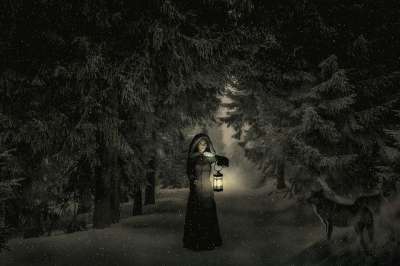 幻想 夜晚 森林雪 降雪 狼 女孩 灯 光 神秘 梦 童话