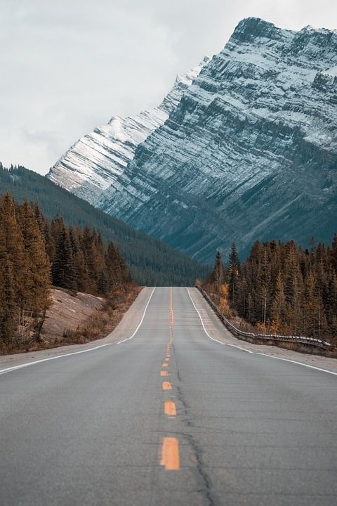 自然 路 高速公路 旅行 冒险 山 树木 森林 秋天 落下