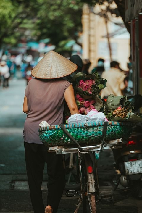 女士 自行车 街道 越南人 锥形帽 走 路 城市的 越南