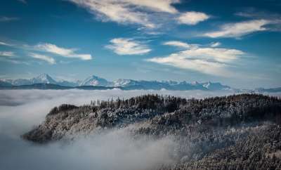 山 云 顶峰 首脑 有雾的 多雾路段 树木 雪 冬天 天空