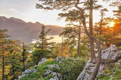 树木 自然 山 景观 山地景观 看法 远足