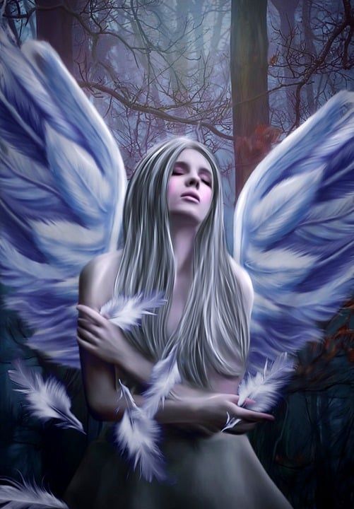 天使 森林 幻想 女性 女孩 女士 羽毛 肖像