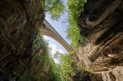 桥 峡谷 路 流动 岩石 水 树木