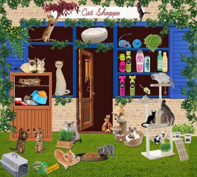 猫 宠物商店 店 黑猫 集会 大学 购物篮 内阁 灰猫 姜猫