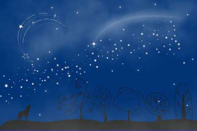 夜空 射击之星 树木 童话故事 狼 星星 幻想 夜晚 银河