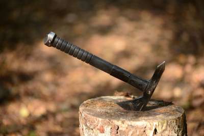 斧头 Sog 武器 战斧 劈 维京人 强大 秋季 树桩 森林