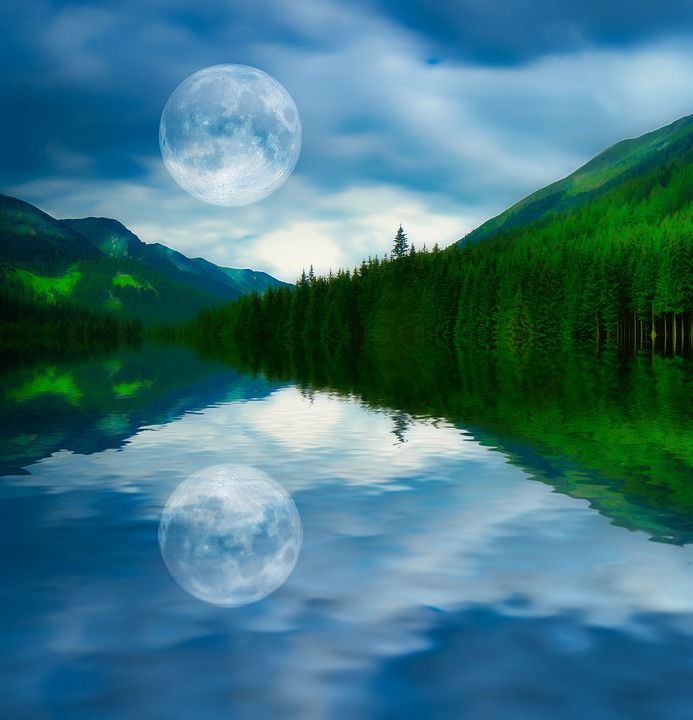 自然 反射 冷静 湖 景观 太平洋 场景 水