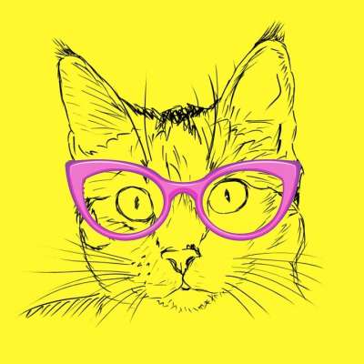 黄色 猫 粉色的 眼镜 黄猫 黄色的玻璃 黄色的眼镜