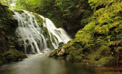 瀑布 溪 森林 水 水域 匆忙 景观 岩石 研磨 喷 溪流